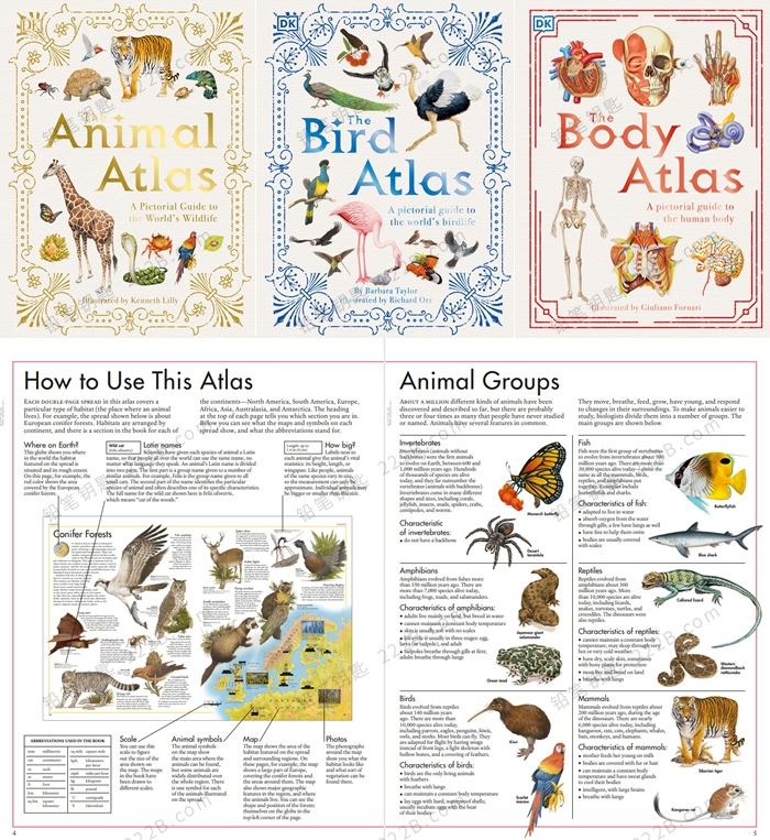 《A Pictorial Guide Series》三册鸟类动物人体DK科普图解指南PDF 百度云网盘下载