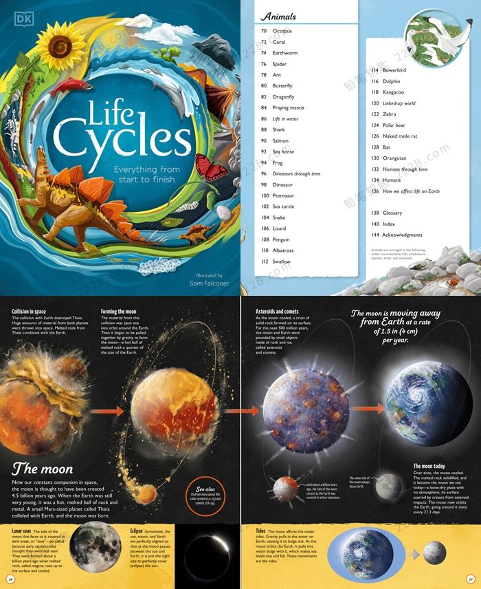 《Life Cycles & Water Cycles》生命周期与水循环英文绘本PDF 百度云网盘下载
