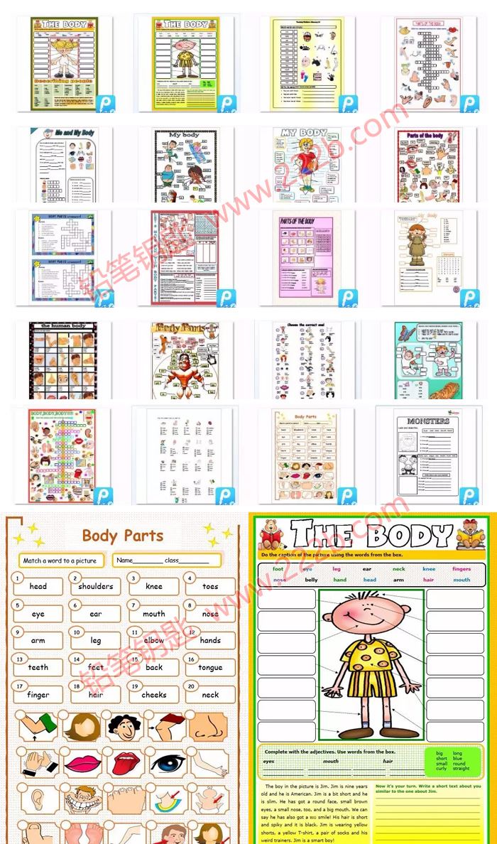 《20份body parts身体部位词汇专项作业纸》语法练习原版PDF 百度云网盘下载