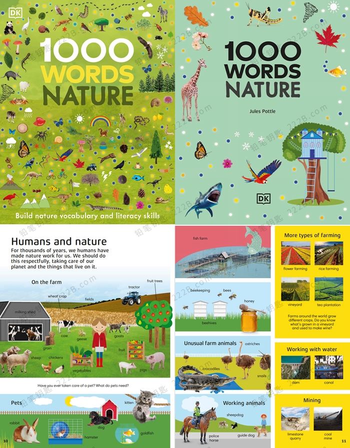 《1000 Words Series》两册DK科学自然主题英语词汇系列PDF 百度云网盘下载