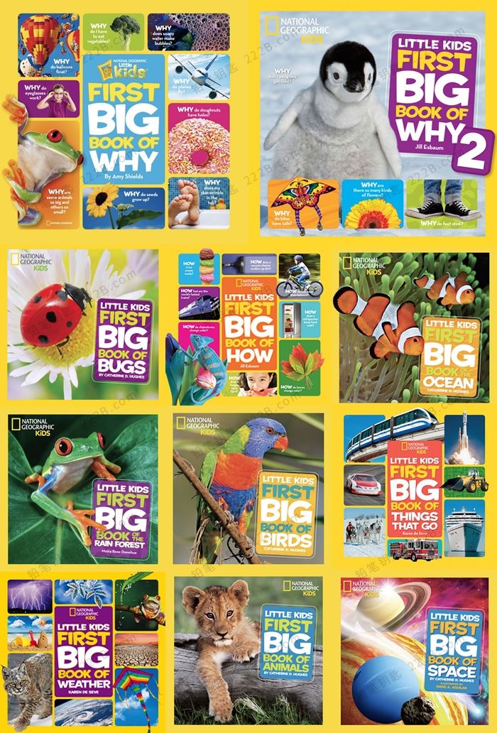 《Little Kids First Big Book》11册英文儿童百科读物PDF 百度云网盘下载