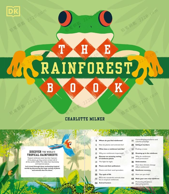 《The Bee/Bat/Sea/Rainforest Book》四册DK科普百科英文绘本PDF 百度云网盘下载