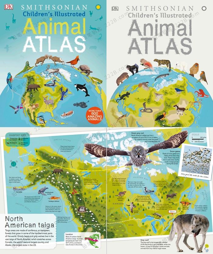 《Children’s Illustrated Animal & History》世界历史动物图集系列英文绘本 百度云网盘下载