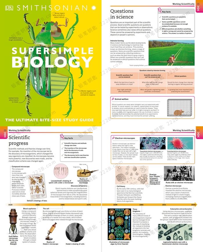 《Super Simple Series》DK极简系列生物化学数学物理学习指南PDF 百度网盘下载