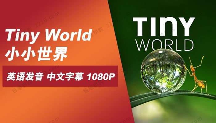 《Tiny World小小世界》第一季6集大自然科普纪录片 百度云网盘下载