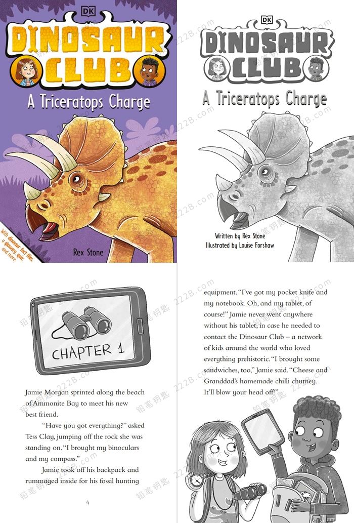 《Dinosaur Club Series》三册恐龙俱乐部系列儿童英文桥梁书PDF 百度云网盘下载