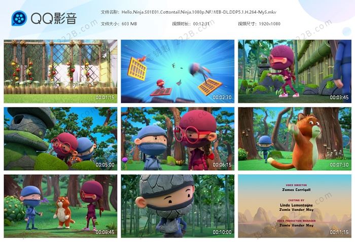 《Hello Ninja哈啰忍者》第1-2季全20集英文动画视频 百度云网盘下载