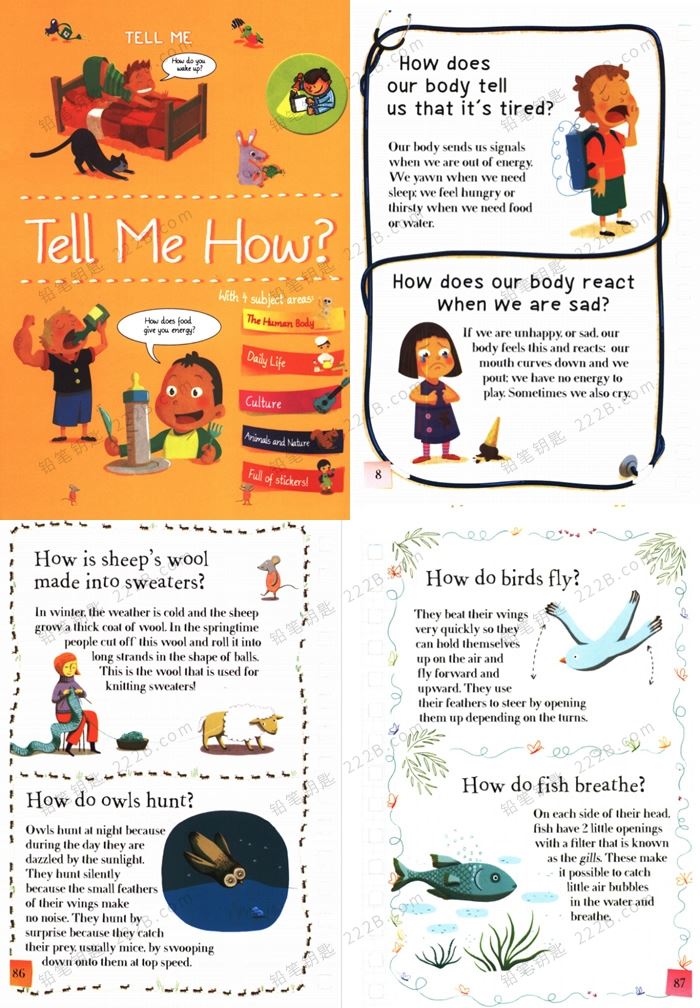 《Tell Me Series》四册告诉我系列儿童英文科普读物PDF 百度云网盘下载