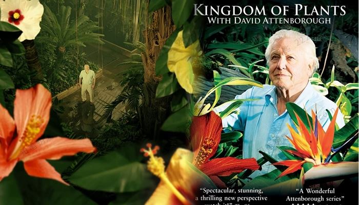《植物王国Kingdom of Plants》全3集英语英字科普英文纪录片 百度云网盘下载