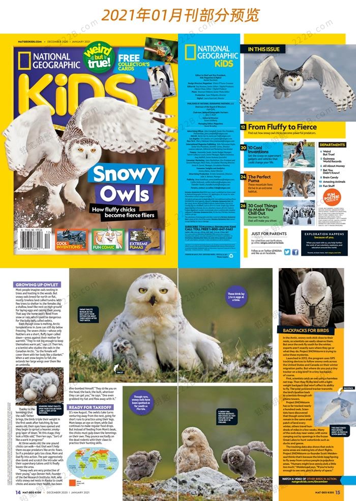 《National Geographic KIDS》2021年全套自然科普英文杂志PDF 百度云网盘下载