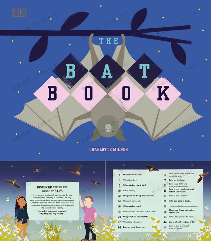 《The Bee/Bat/Sea/Rainforest Book》四册DK科普百科英文绘本PDF 百度云网盘下载