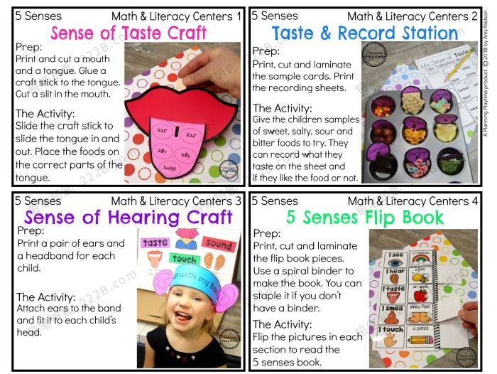 《Preschool 5 Senses》五感训练早教启蒙认知英文教具PDF 百度云网盘下载
