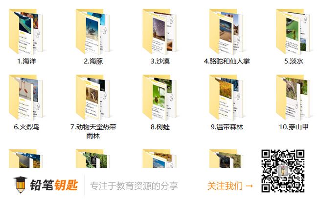 《小探险家双语百科50集》中文字幕 MP4视频+MP3音频 百度云网盘下载
