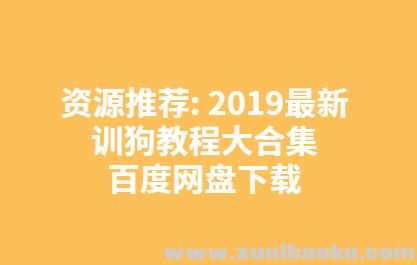 2019最新训狗教程大合集百度网盘下载