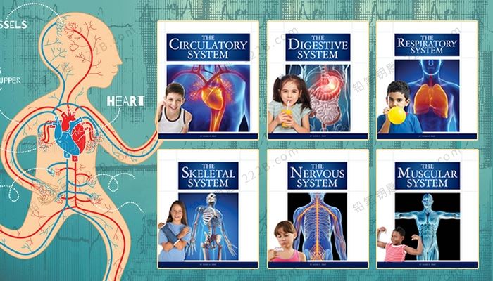 《Human Body System Series》6册儿童人体科普知识英文绘本PDF 百度云网盘下载